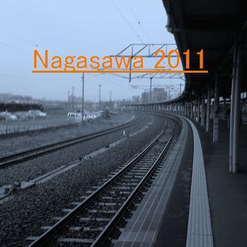 Nagasawa2011