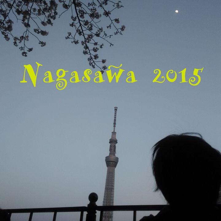 Nagasawa2015